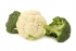 Broccoli and cauliflower processing line